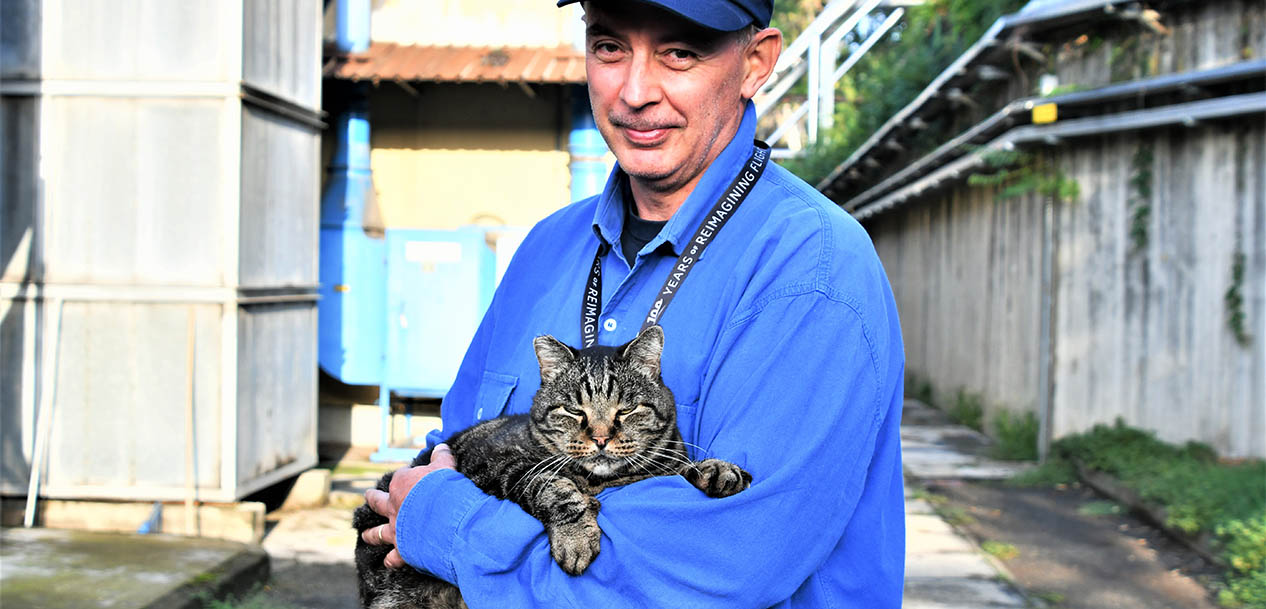Meow meow, Avio Aero!